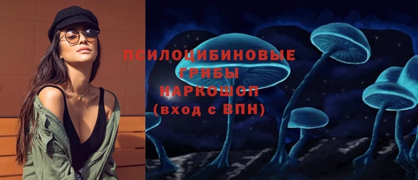 прущий лед Армянск