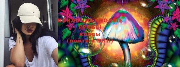 прущий лед Армянск