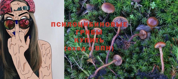 прущий лед Армянск